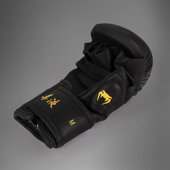 Venum - Serpenti Sparring Handschuhe – Schwarz/Silber/Gold