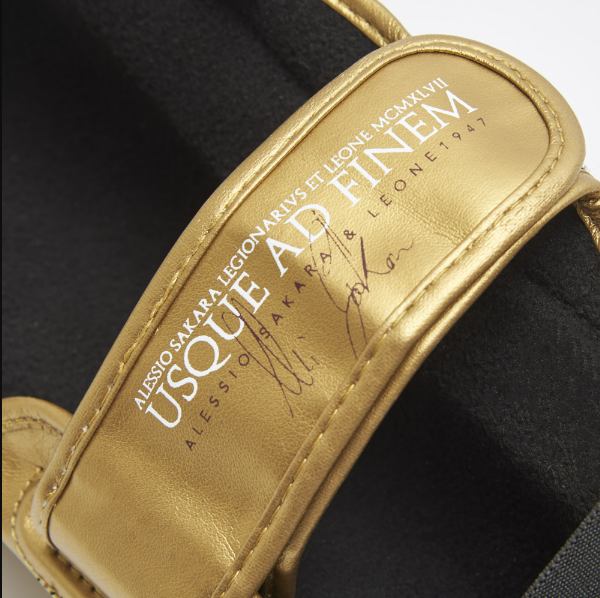 Leone - LEGIONARIVS SHINGUARDS