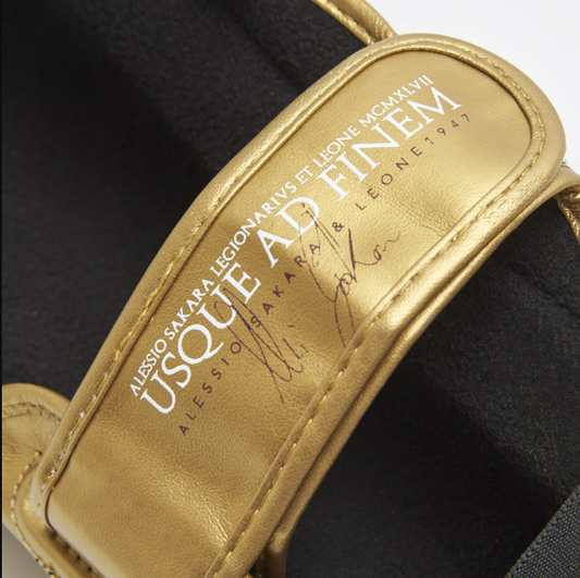 Leone - LEGIONARIVS SHINGUARDS