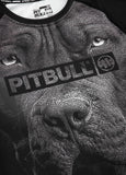 Pitbull - GEBOREN 1989 - Ruschgurd