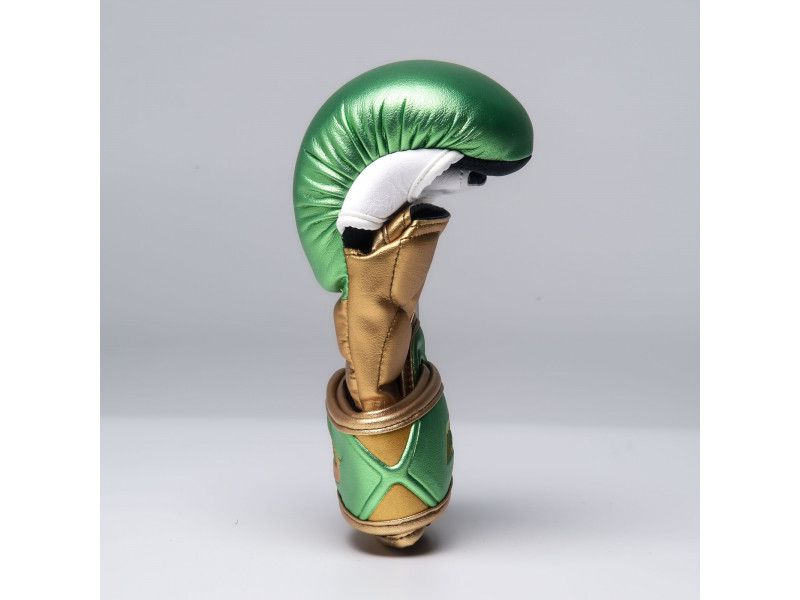 JOYAGEAR - PERFORMANCE MMA SPARRING HANDSCHUHE