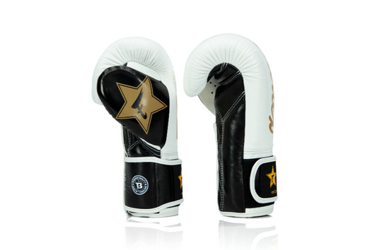 Fairtex-FXB BG V2 WH/BK/GOLD
