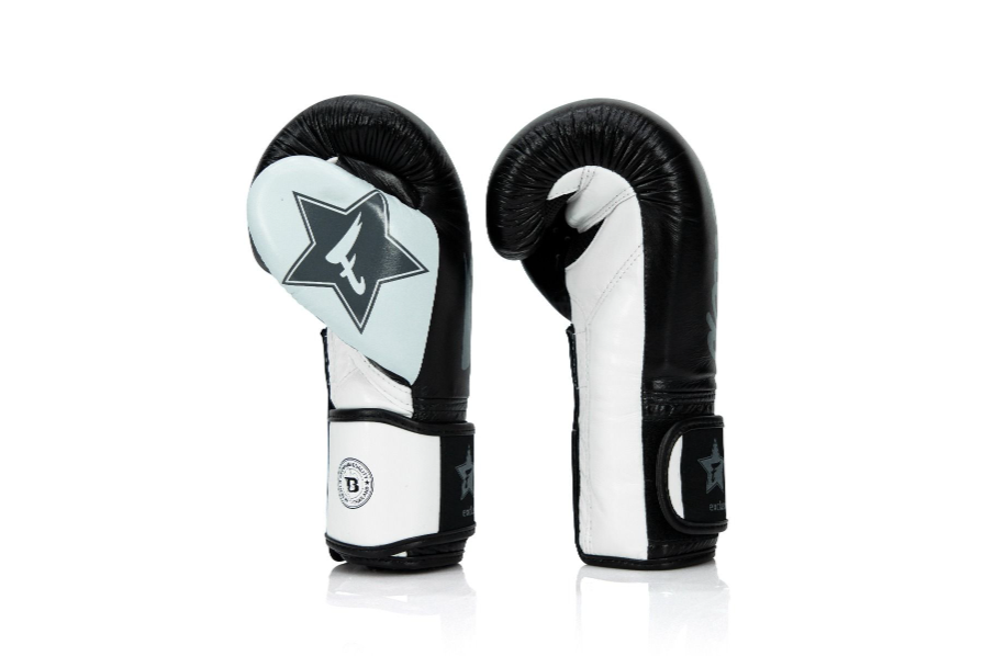 Fairtex-FXB BG V2 BK/WH