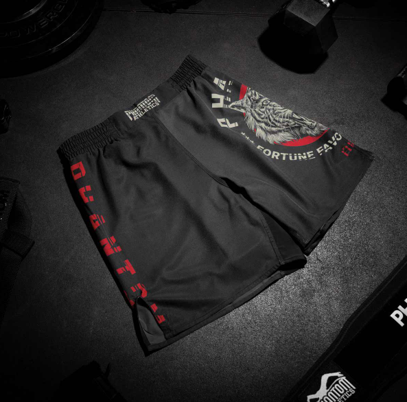 Phantom - Fightshorts EVO Tiger Unit