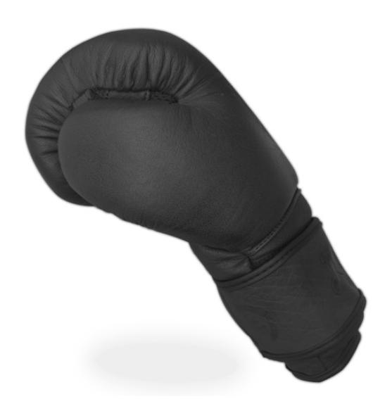 Joya Fight Fast Boxhandschuhe